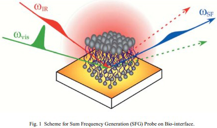 Fig. 1 Scheme for Sum Frequency Generation (SFG) Probe on Bio-interface.