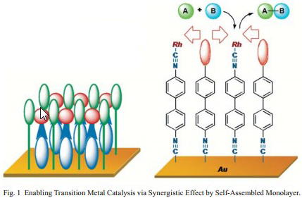 Fig. 1 Enabling Transition Metal Catalysis via Synergistic Effect by Self-Assembled Monolayer.