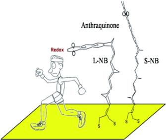 Link to full-size graphical abstract