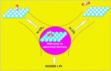 Graphical abstract: Adsorbed formate: the key intermediate in the oxidation of formic acid on platinum electrodes