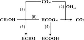 http://www.sciencedirect.com/cache/MiamiImageURL/1-s2.0-S1572665710003681-gr1.jpg/0?wchp=dGLbVlk-zSkWz