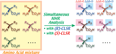 Graphical abstract: Use of Sm(iii)–{1,2-propanediamine-N,N,N,N-tetra(,-dideuterioacetate)} complex for NMR determination of absolute configuration of each -amino acid in peptide hydrolysate mixtures